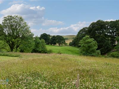 Picture 28